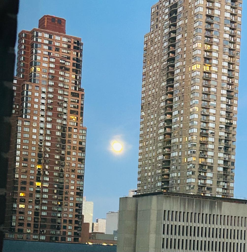 Full moon view from NYC, USA ©Melissa